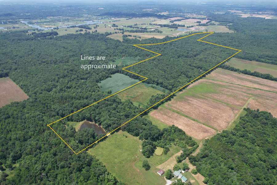 Great Deer Hunting & Recreational Property